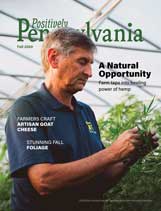 2020 Fall Pos PA cover