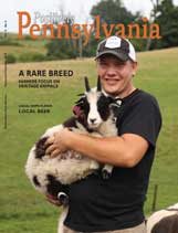 2019 Pos PA Sept-Oct