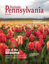 2021-Spring-PositivelyPA